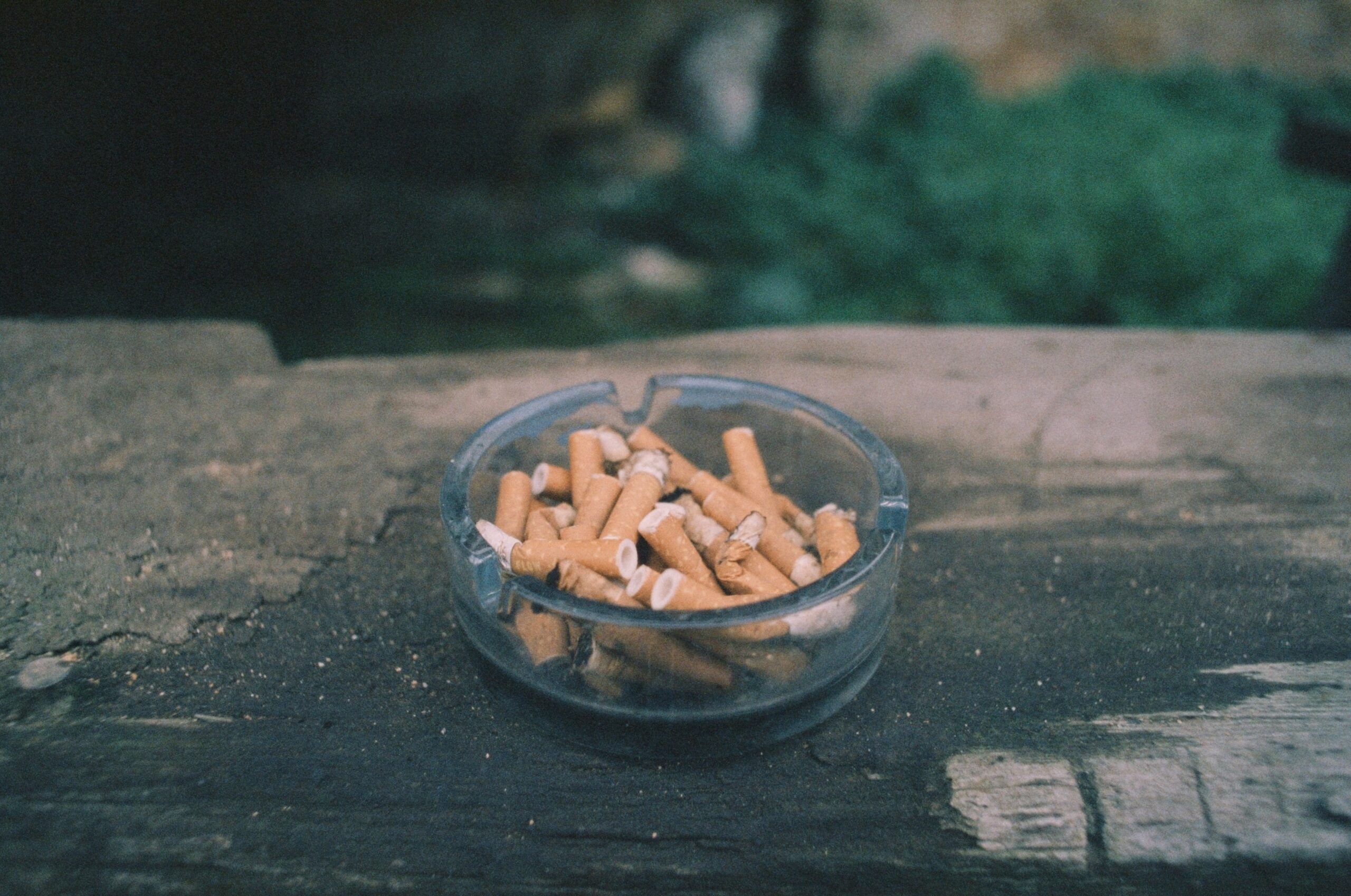 Close-up photo showing ingredient labels on common gaming snacks revealing hidden non-vegan additives.