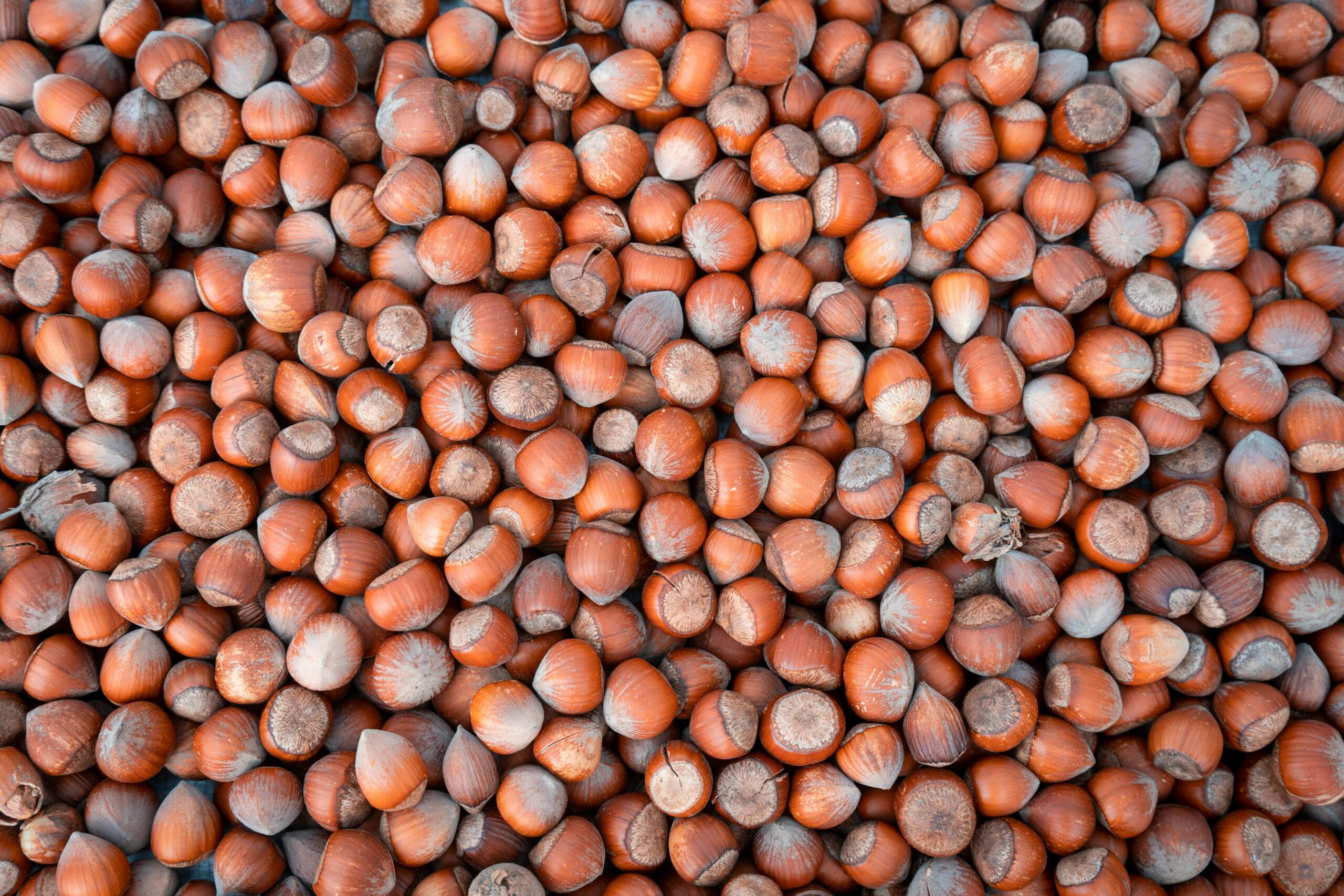 Protein-Packed Snacks